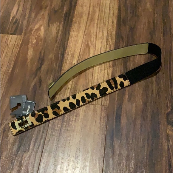 Belt - Picture 1 of 3